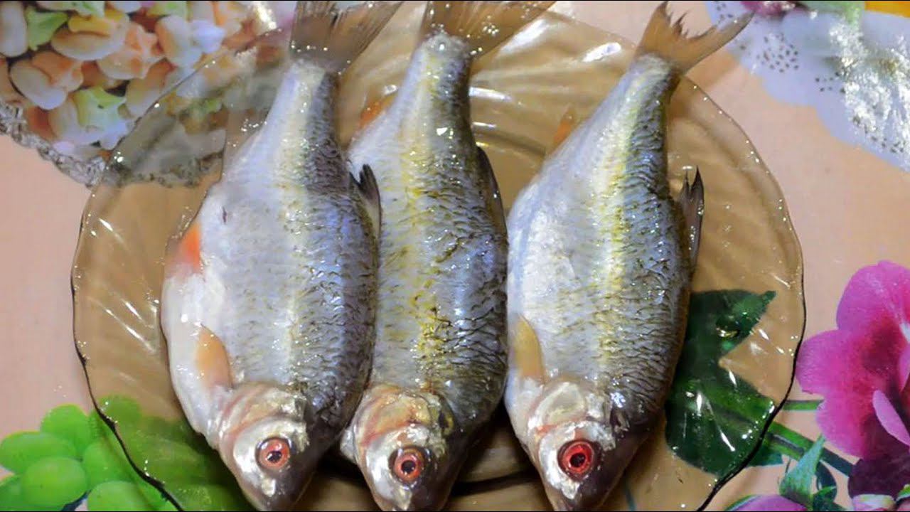 Малосольная селедка из плотвы в домашних условиях.
