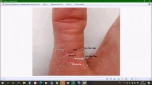 Гадание по Большому пальцу. Хиромантия.