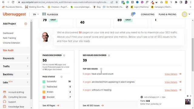 SEO Audit With Ubersuggest (Website audit 2022) смотреть онлайн