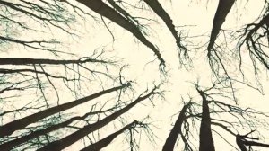 Наталья Манулик   В лесу прифронтовом  Вальс военных лет  1942