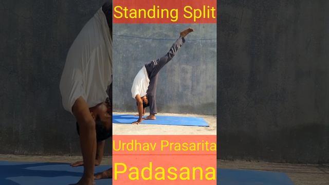 #shorts #yoga | Standing Splits | Urdhav Padasana | Middle Split | Yoga and Fitness With Shiva