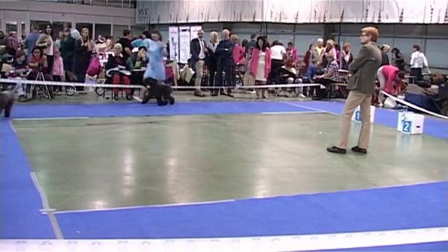 ЧК 2016 Часть 2 смотреть онлайн