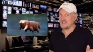 Real or Fake? MEGALODON Photo & more