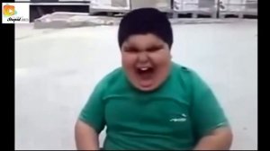 Приколы с животными и людьми.  Funny video. Горилла TV