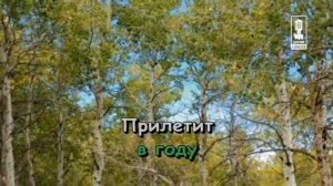 Детские   Песенка Крокодила Гены