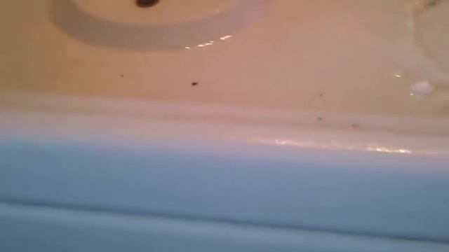 приемлемый но не ЛУЧШИЙ способ мытья плиты смотреть онлайн