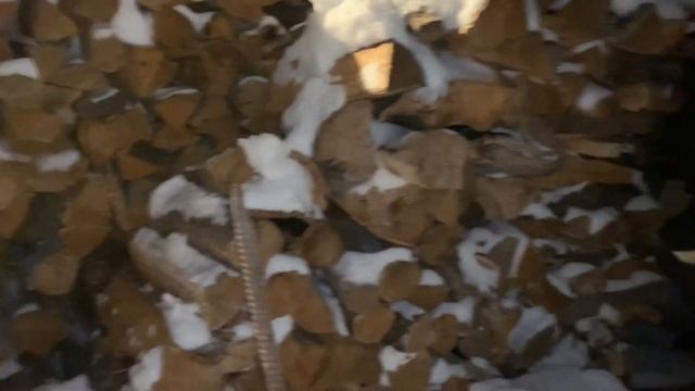 ЩЕНОК В МАШИНЕ/ПУТЕШЕСТВИЕ С СОБАКОЙ/ПЕРЕХОД НА НАТУРАЛКУ/VLOG смотреть онлайн