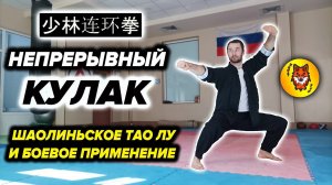 Шаолиньский Непрерывный Кулак (连环拳). Тао Лу и Боевое Применение