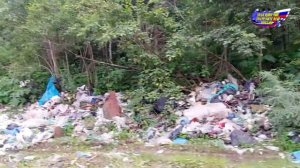 Провал мусорной реформы