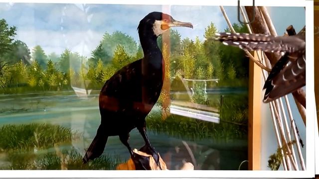 Лесное эхо Литва converted смотреть онлайн