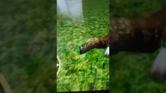 Wild Eagle Hunter Simulator 3D- підготовка смотреть онлайн