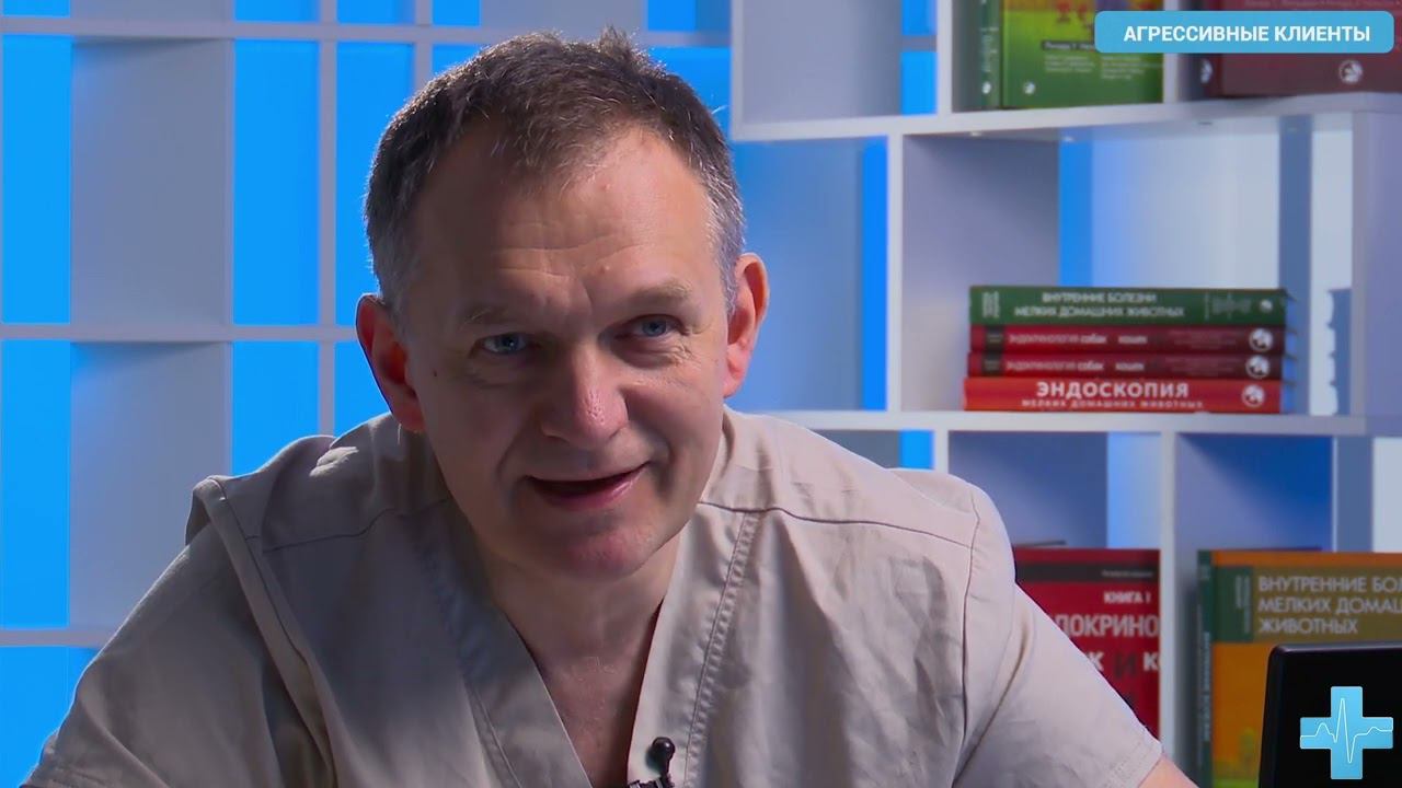 Особенности национальной ветеринарии