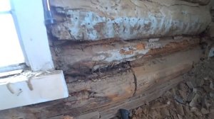 RURAL DAYS IN THE SIBERIAN HINT