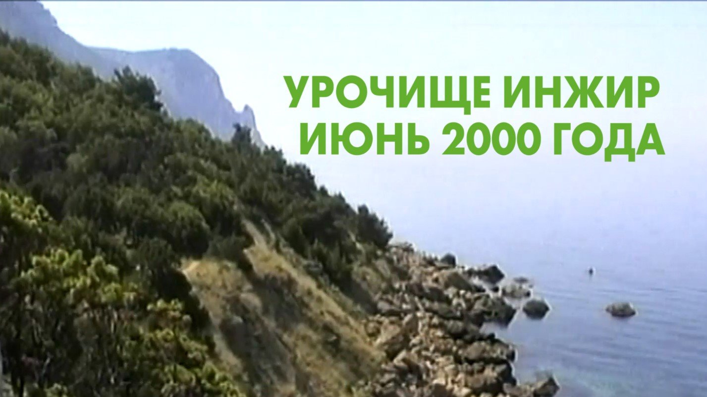 Урочище Инжир 2000 года. Балаклава.