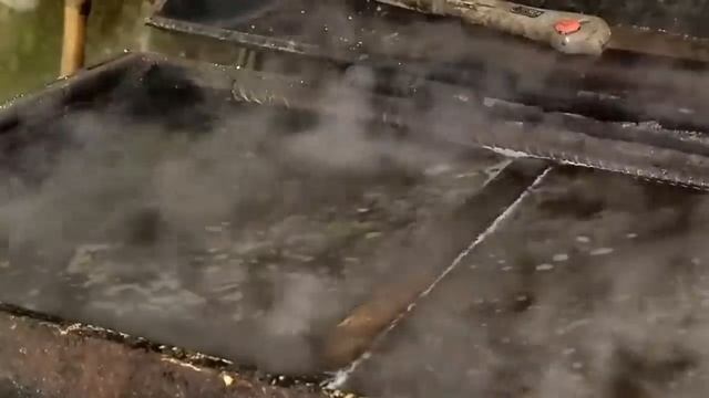 Бамбук Интересные факты. смотреть онлайн