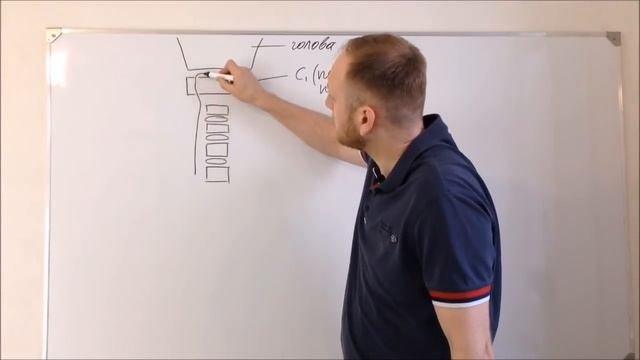 Сколиоз - как вылечить сколиоз навсегда!!! Новейшая методика.