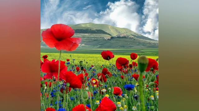 Роздуми над Словом Божим 03.07.21 Євангеліє від Матея 7:1-8. смотреть онлайн