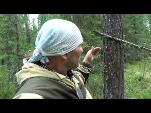 27.07.19 \ ПРОГУЛКА ПО ОТЦОВСКОМУ ПУТИКУ