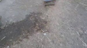 С чего начать ЛПХ