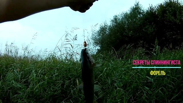 красавица #секретыспиннингиста