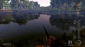 Ps4|Fishing Simulator|Gameplay|Live