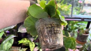 Обзорная экскурсия по Арт-пространсву Pro. Anta's || Прекрасное  Питере ?@proantas