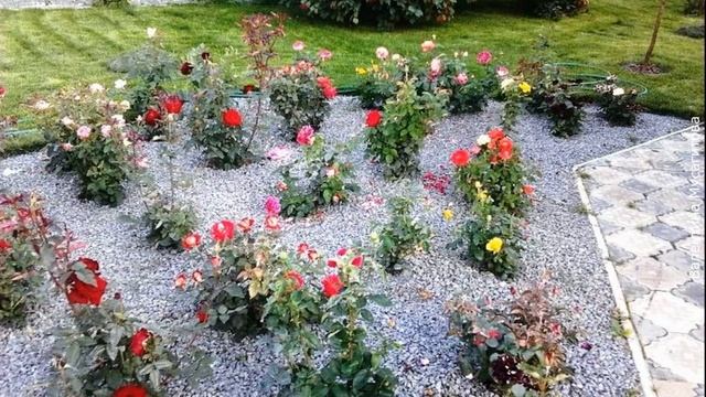 ❀ Розарий. Его виды, этапы и основные правила создания смотреть онлайн