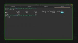 Linux Crash Course - Understanding Memory and Swap Usage