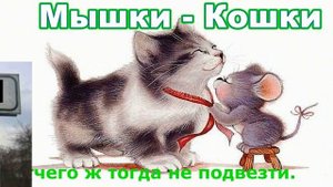 Мышки - Кошки