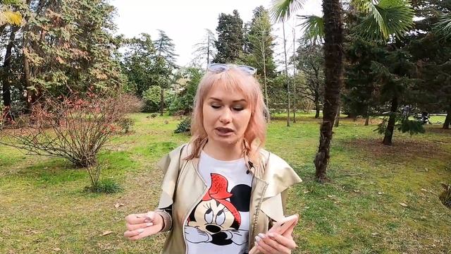 10 плюсов Сочи / климат Сочи / Экология Сочи / население Сочи