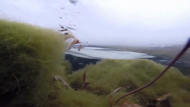 Пруд Зимой смотреть онлайн