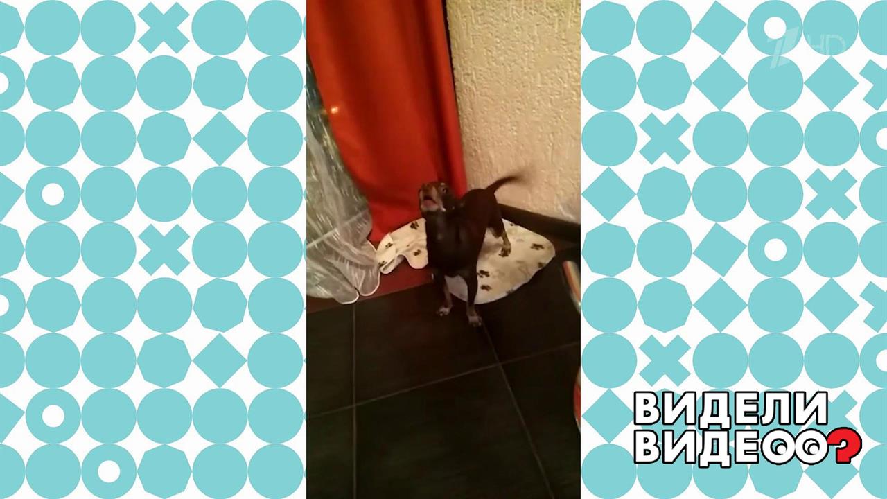 Эй, диджей, поставь мою пластинку! Видели видео? Фрагмент выпуска от 22.09.2019