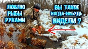 ✔ НАЛОВИЛ РЫБЫ РУКАМИ Вы такое когда нибудь видели?