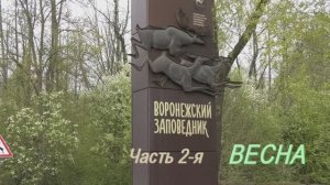 Воронежский заповедник, весна, часть 2