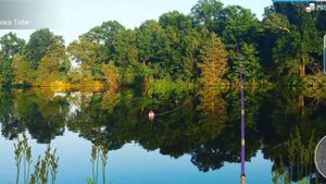 Ловим китайских окуней на реке Таби в my fishing world