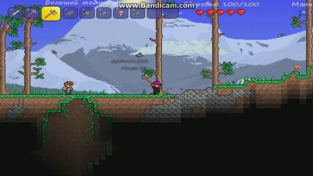 Let's Play по Terraria #1 (А с кем мне ночь провести?) смотреть онлайн