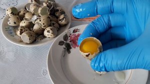 Цель выращивать перепелов/Сырые перепелиные яйца как употреблять женщине/Состав самодельного корма.