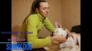 Как нельзя играть с бультерьером || Игры с бультерьером