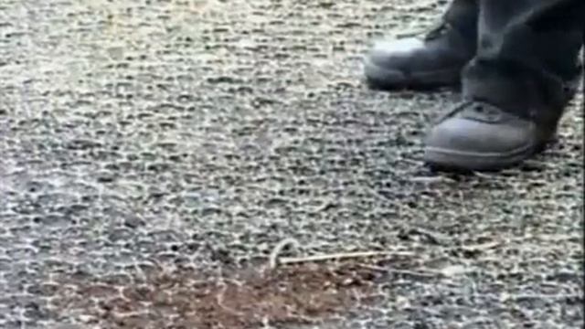 Эко Газон. Решетка для газона смотреть онлайн