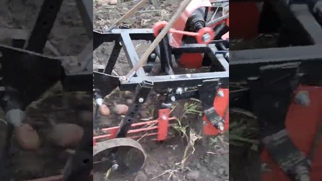 Картофелекопалка к мотоблоку Салют Пахарь - не работает без переделки! смотреть онлайн