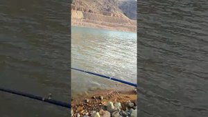 Ангрен! Узбекистан Рыбалка.