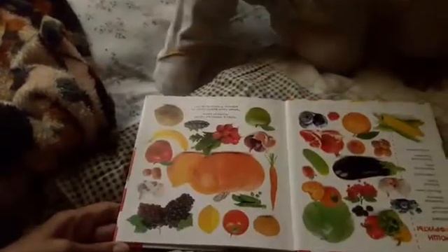 Занятия по фотокниге "Цвета и формы" издательства Clever смотреть онлайн