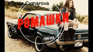 Ромашки Ksenia Cymarova рамашки РаМаШки