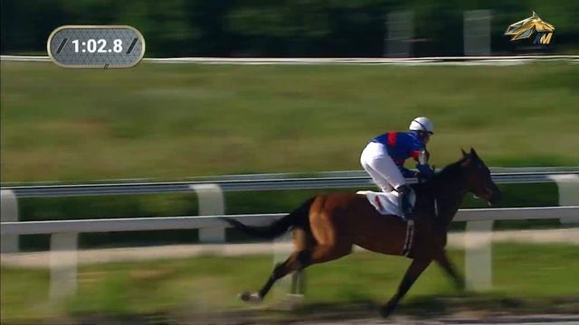 9-я Скачка. Приз в честь жеребца Даусуза (им.) Пятигорский ипподром 2 июля 2023 смотреть онлайн