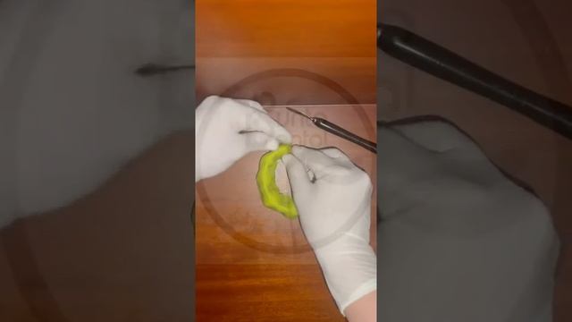 Como realizar un segundo molar inferior definitivo en plastilina. Morfología dental Video N 3 смотреть онлайн