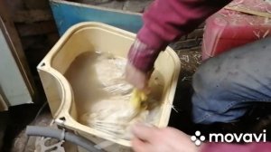 Бюджетная перощипальная машина своими руками