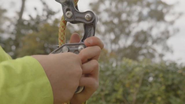 Work as an arborist in Australia! смотреть онлайн