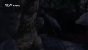 Хищник / Боевик / Фантастика / Арнольд  Шварценеггер /