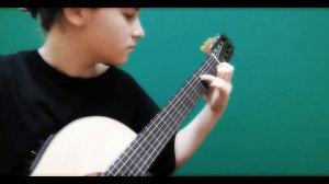 Giorgio Moroder - Love Theme From Flashdance (guitar cover)