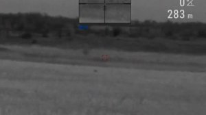 Охота на шакала с манком .